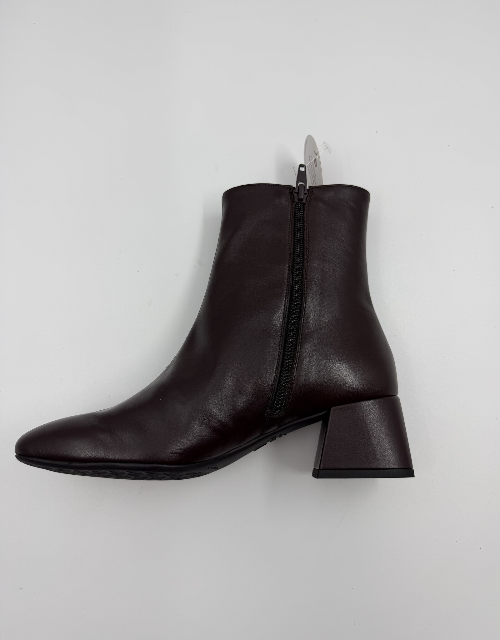 Wonders G-5522 Testa