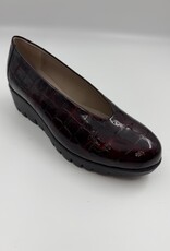 Wonders C-33100