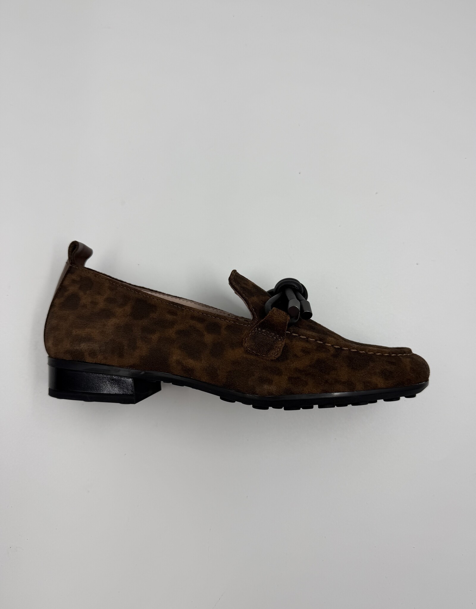 HISPANITAS GENOVA LEOPARD