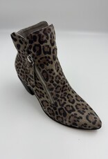 DJANGO ANDJULIETTE JAZZYA LEOPARD