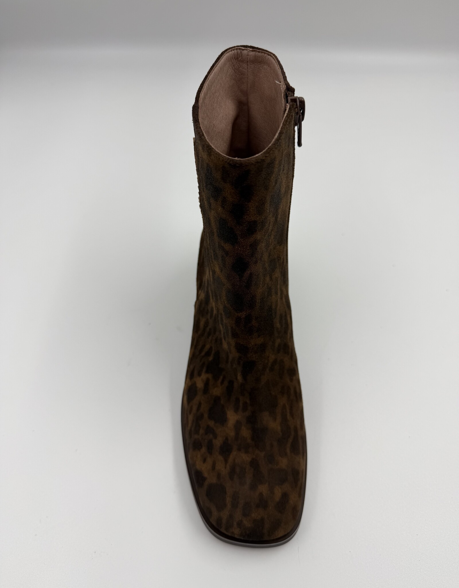 HISPANITAS MARSELLA LEOPARD