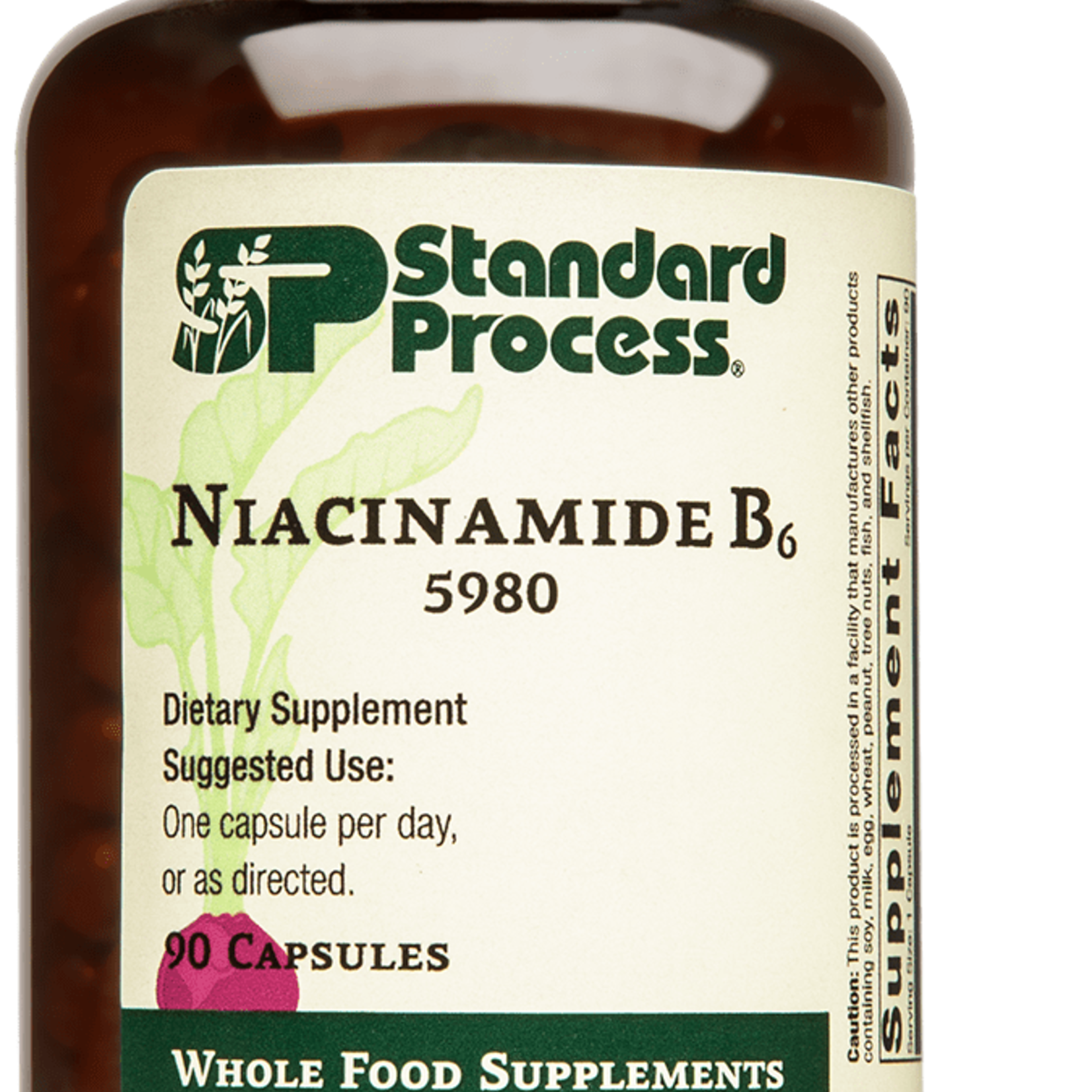 Standard Process Niacinamide B6 90C
