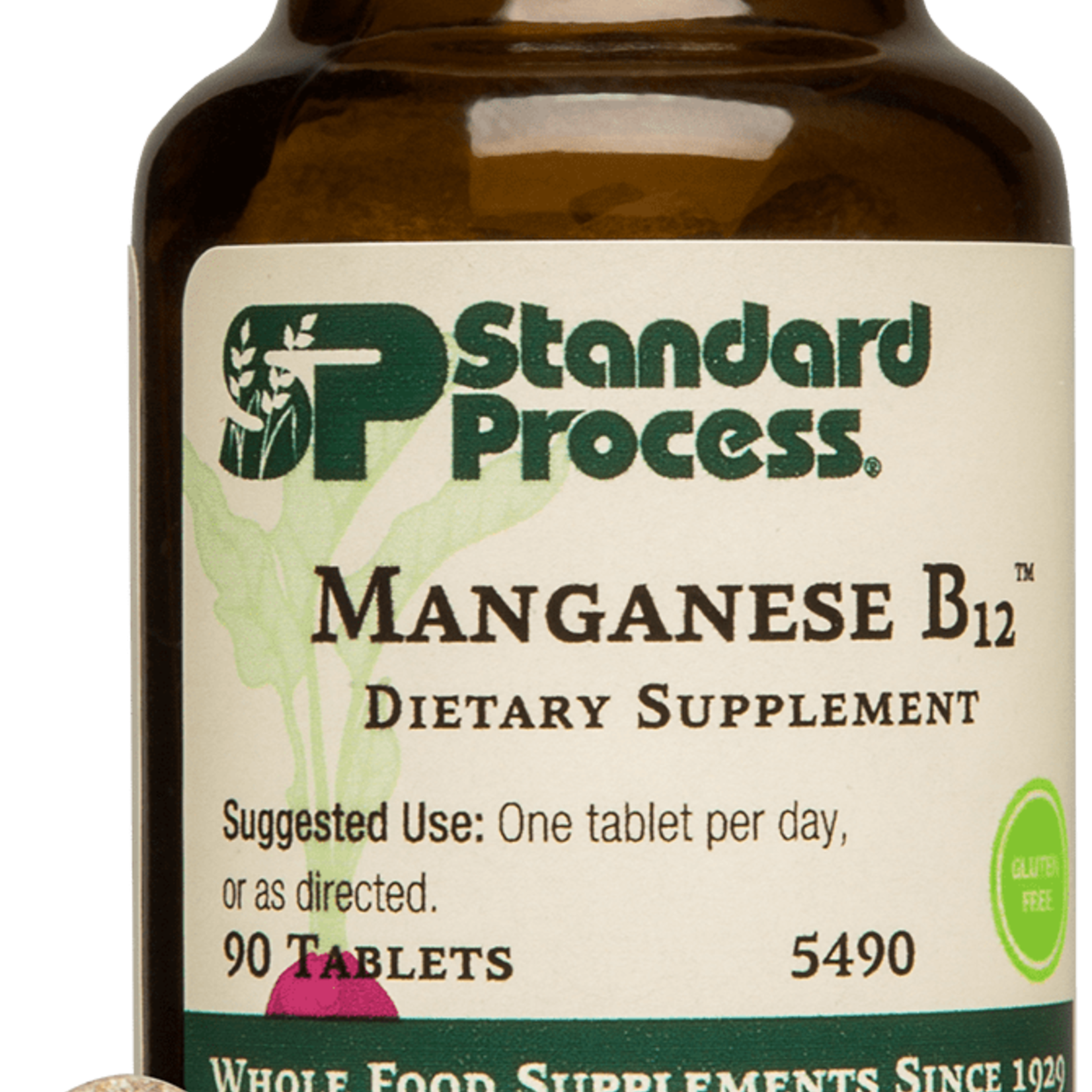 Standard Process Manganese B12 90T
