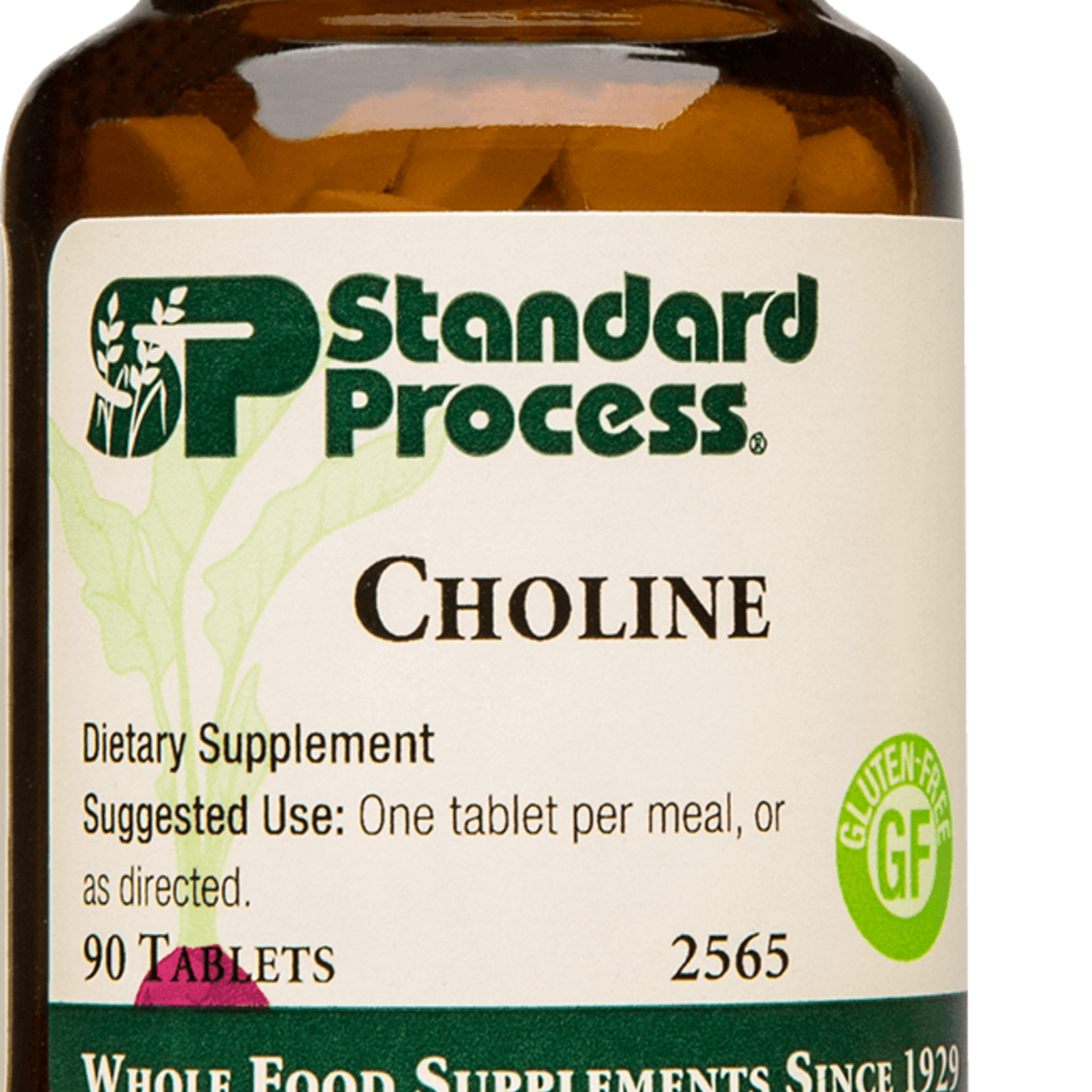 Standard Process Choline 90T