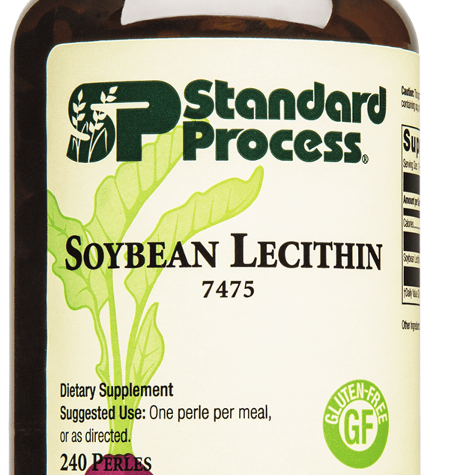 Standard Process Soy Bean Lecithin 240P