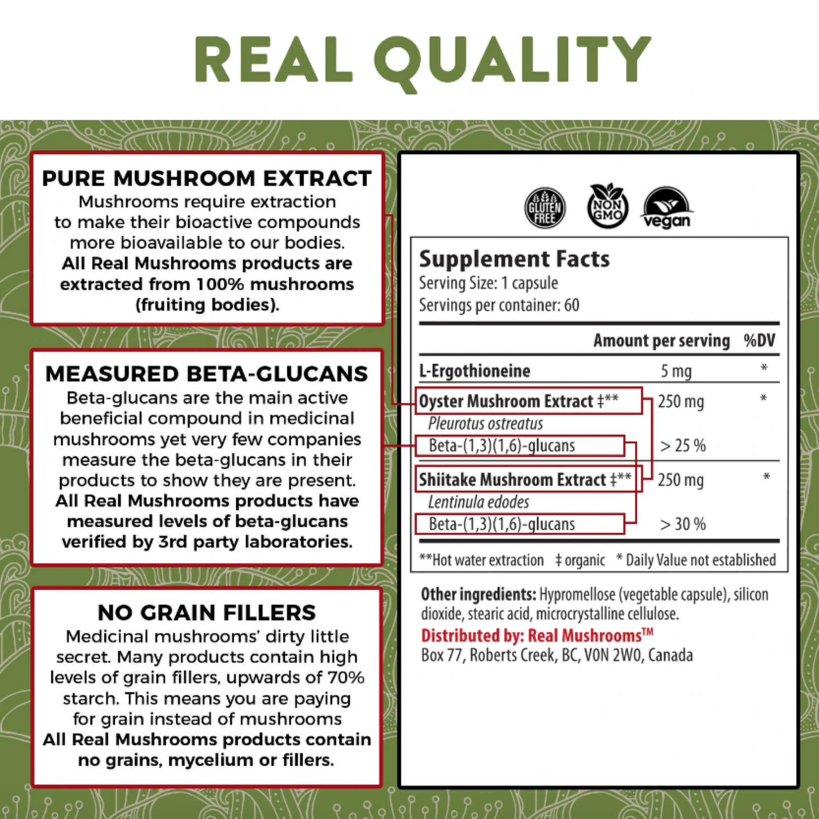 Real Mushrooms Ergo+, 60c