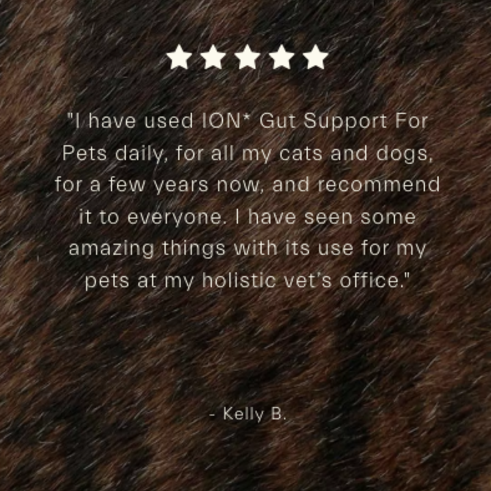 ION ION Gut Support for Pets 8oz