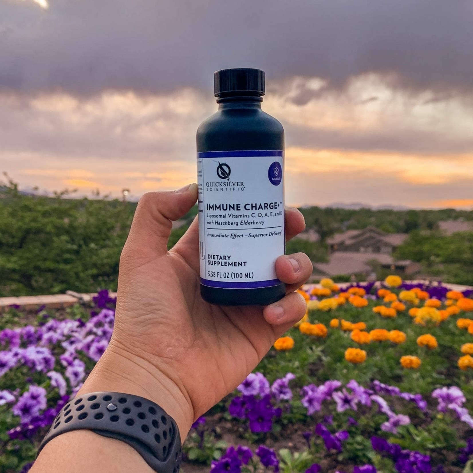 Quicksilver Immune Charge+ 100mL Bottle - refrigeration required [SPECIAL ORDER ONLY - EMAIL hello@corecarecenter.com]