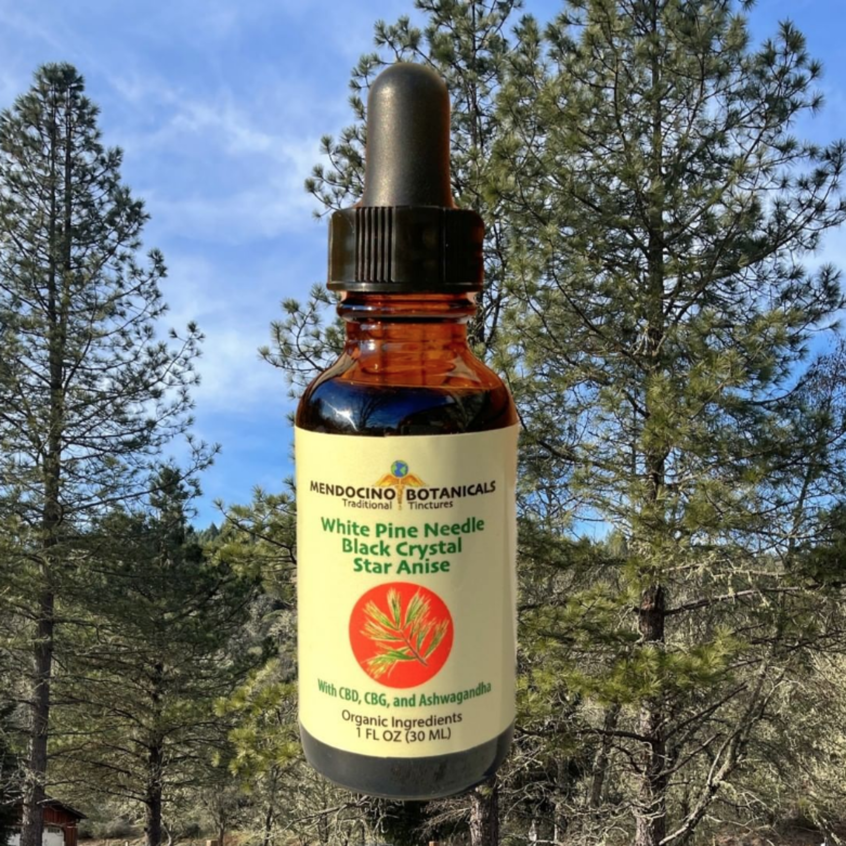 CBD Mendo White Pine Needle Black Crystal Star Anise 1oz.