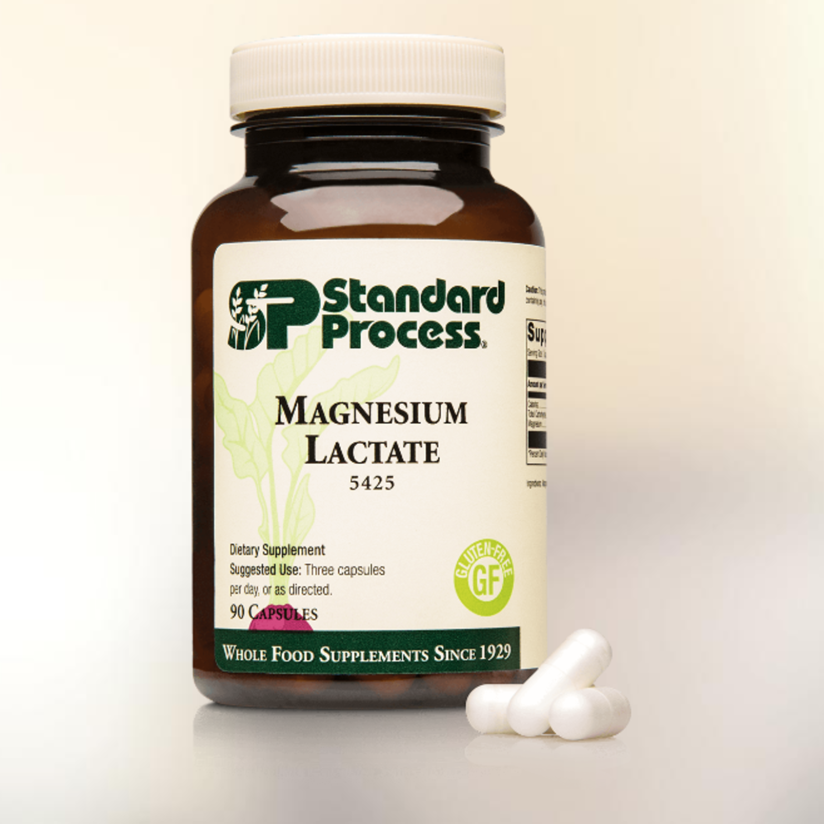 Standard Process Magnesium Lactate 90C