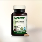 Standard Process Multizyme 90C