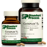 Standard Process Cataplex E2 360T