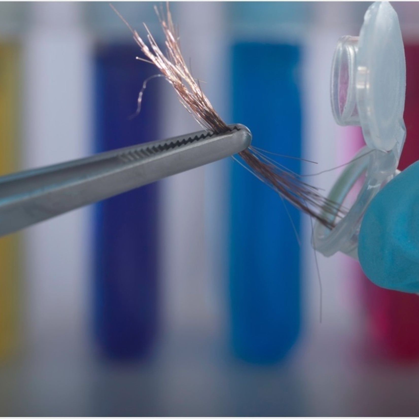 ARL Hair Tissue Mineral Analysis