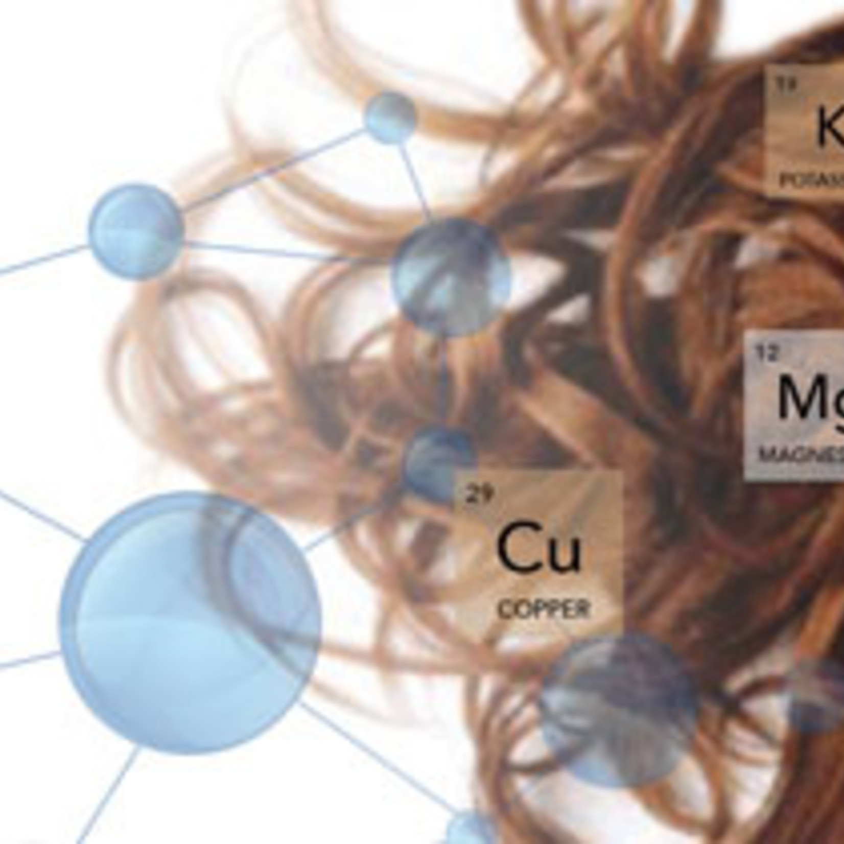 ARL Hair Tissue Mineral Analysis