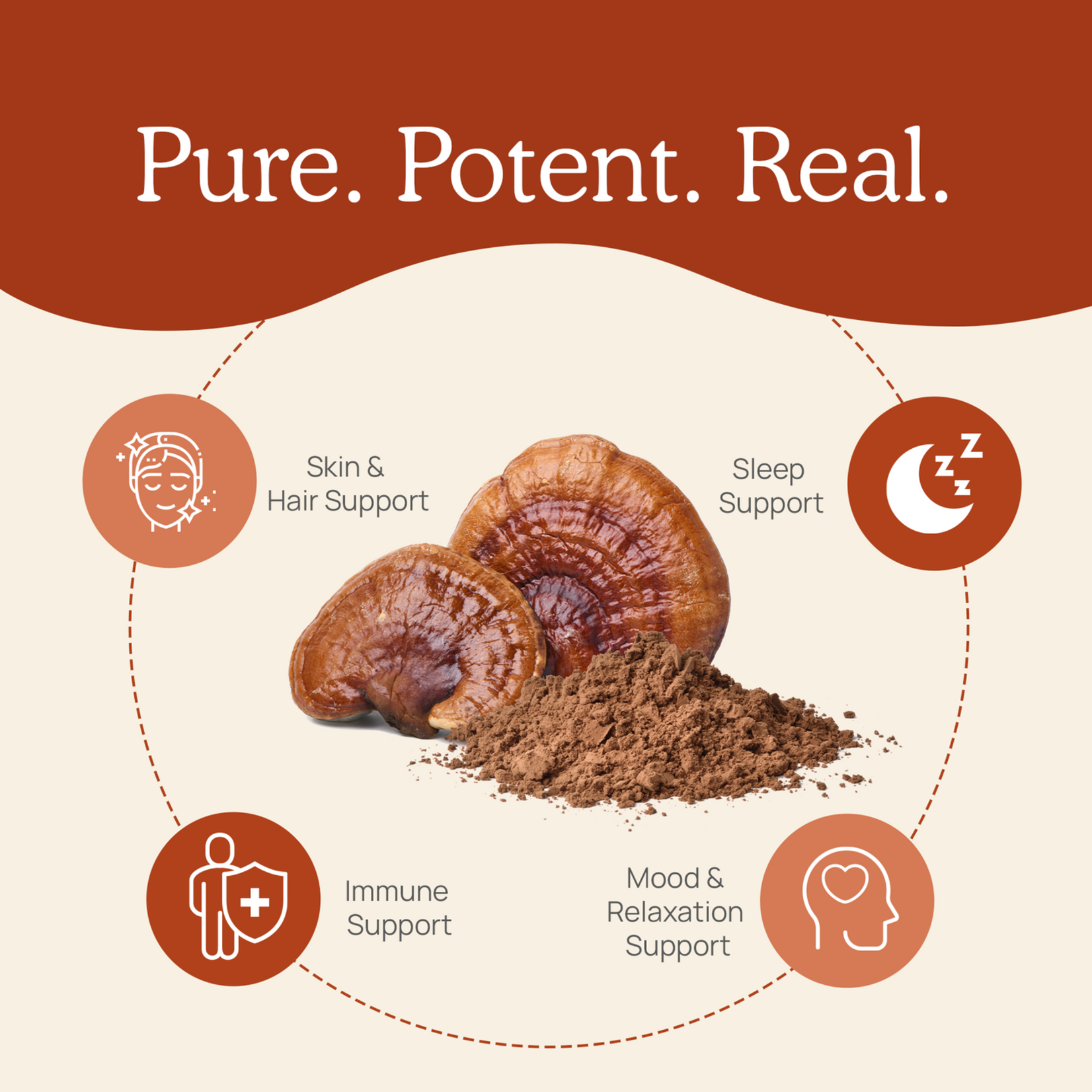 Real Mushrooms Reishi 415 Mushroom Powder 45g