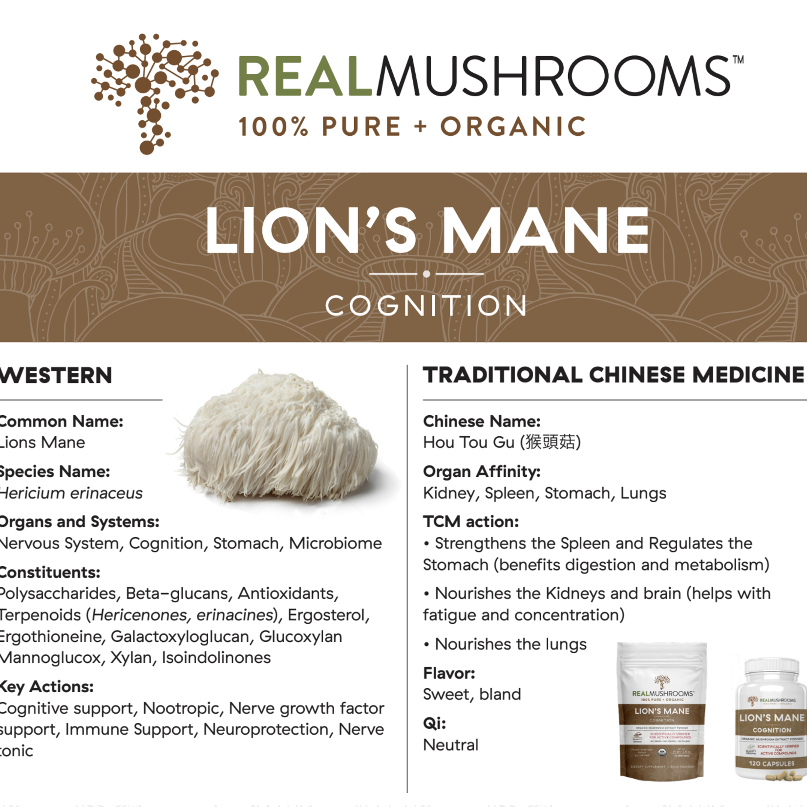 Real Mushrooms Lion's Mane Extract Powder 150g