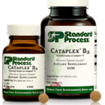 Standard Process Cataplex B2 formerly called Cataplex G, 90T