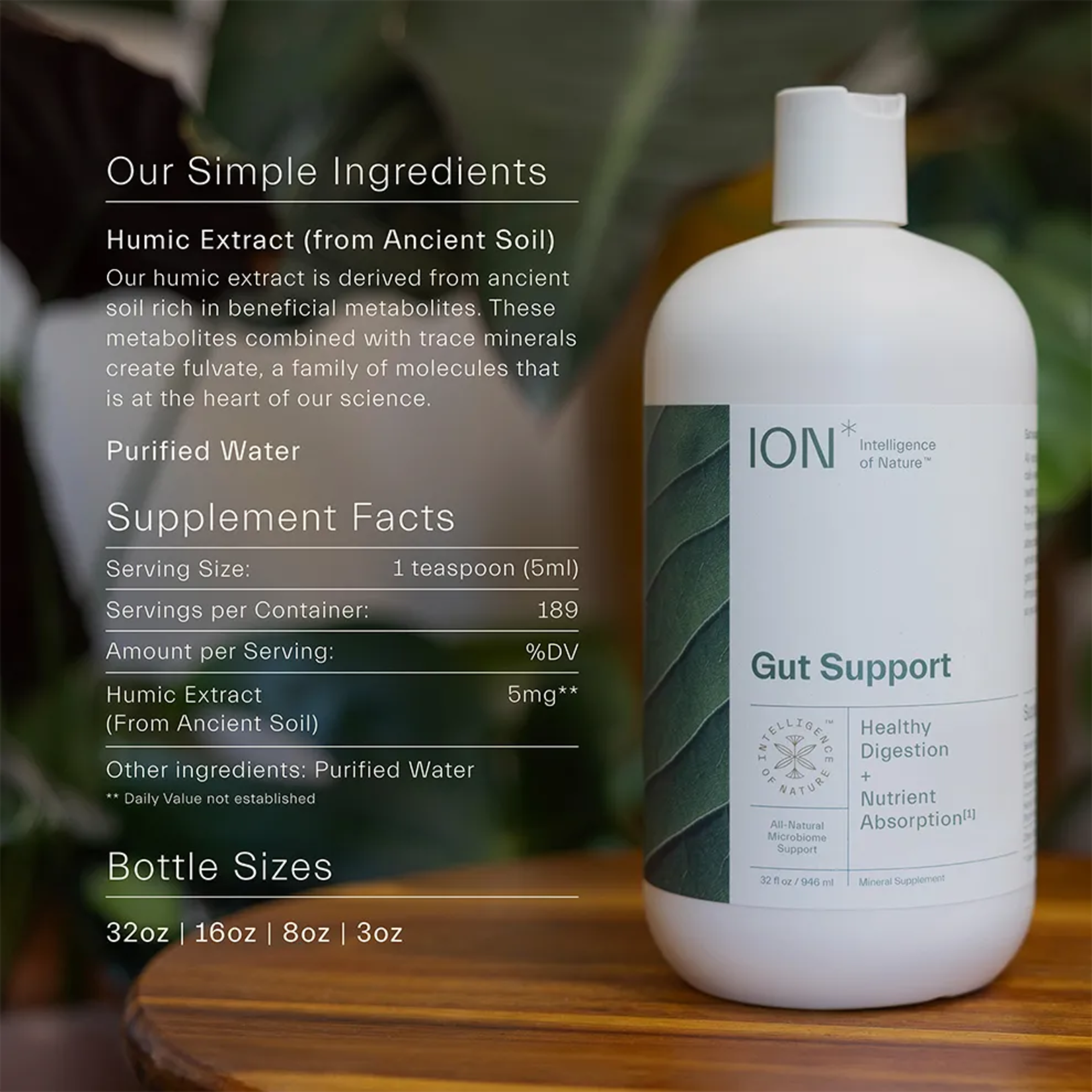 ION ION Gut Support 8oz 2 week supply