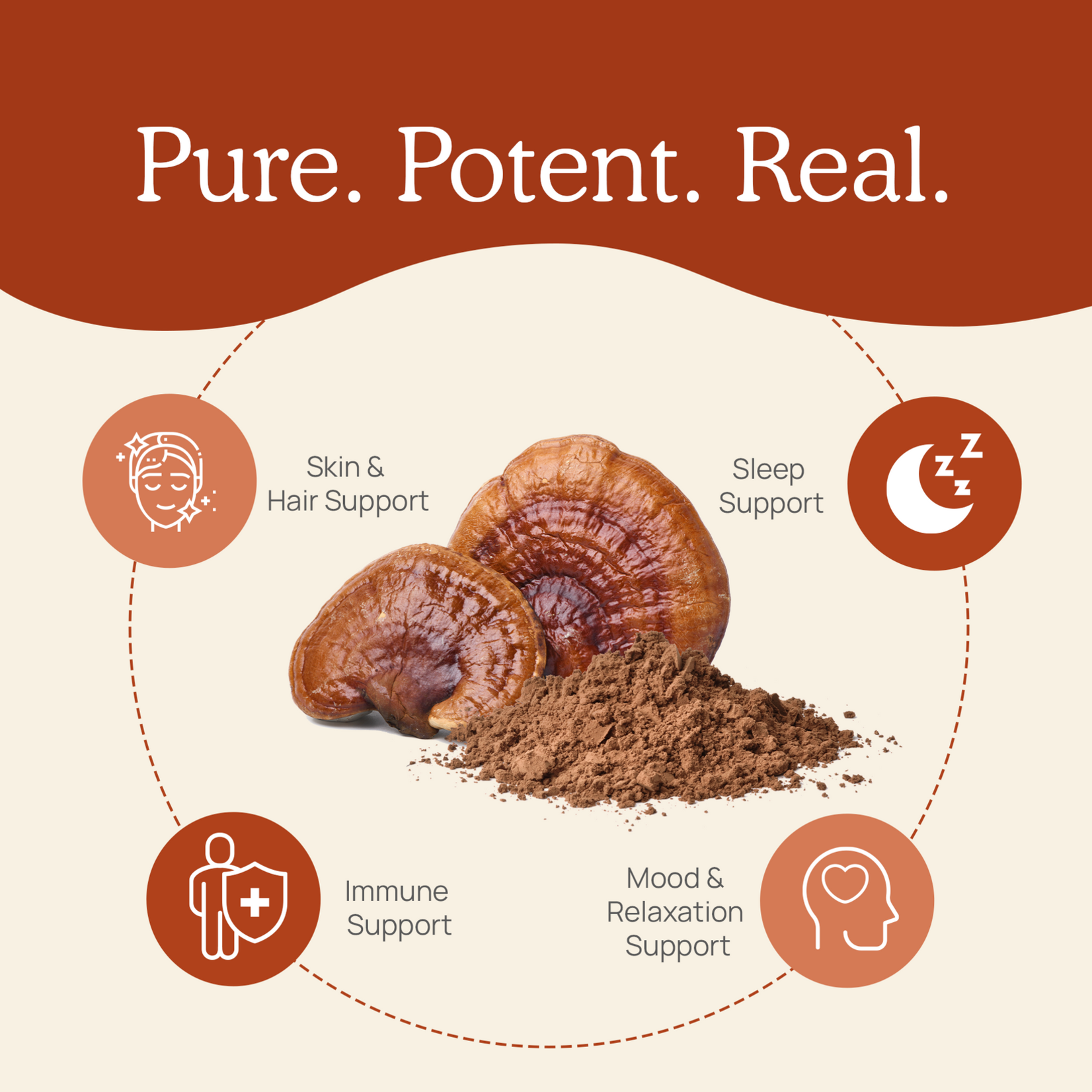 Real Mushrooms Reishi Mushroom Capsules 200c