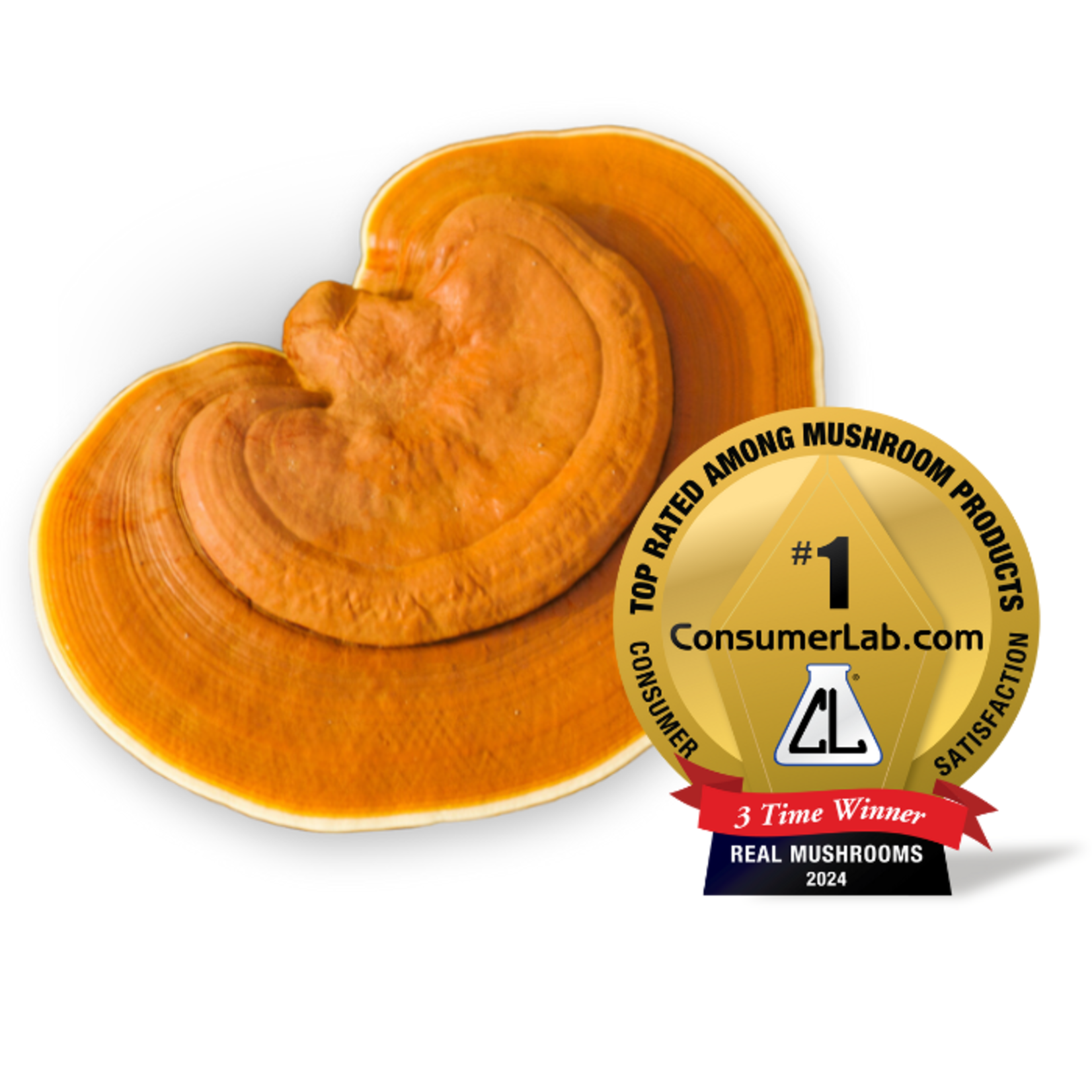 Real Mushrooms Reishi 415 Mushroom Powder 100g