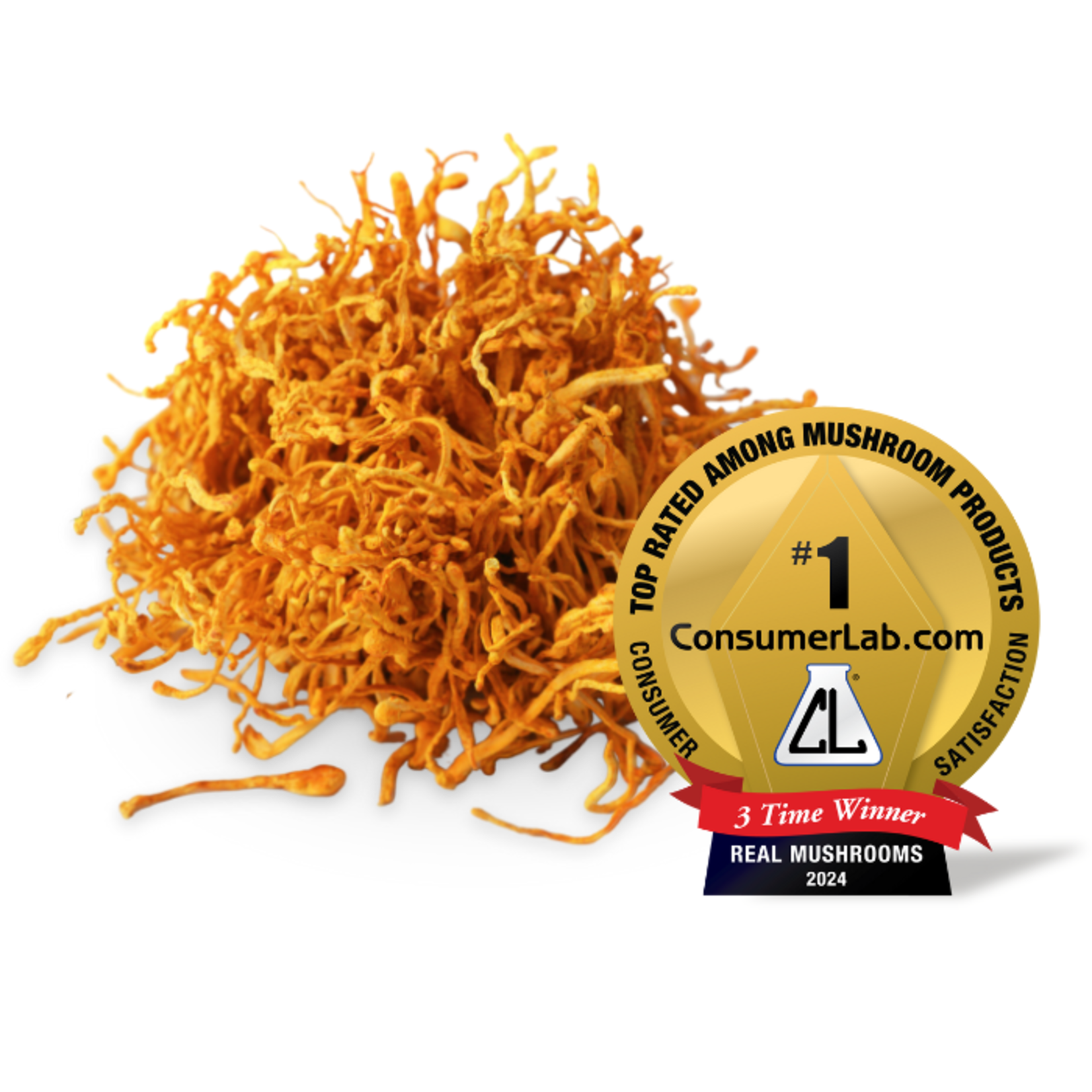 Real Mushrooms Cordyceps Mushroom Extract Powder – 150 gm
