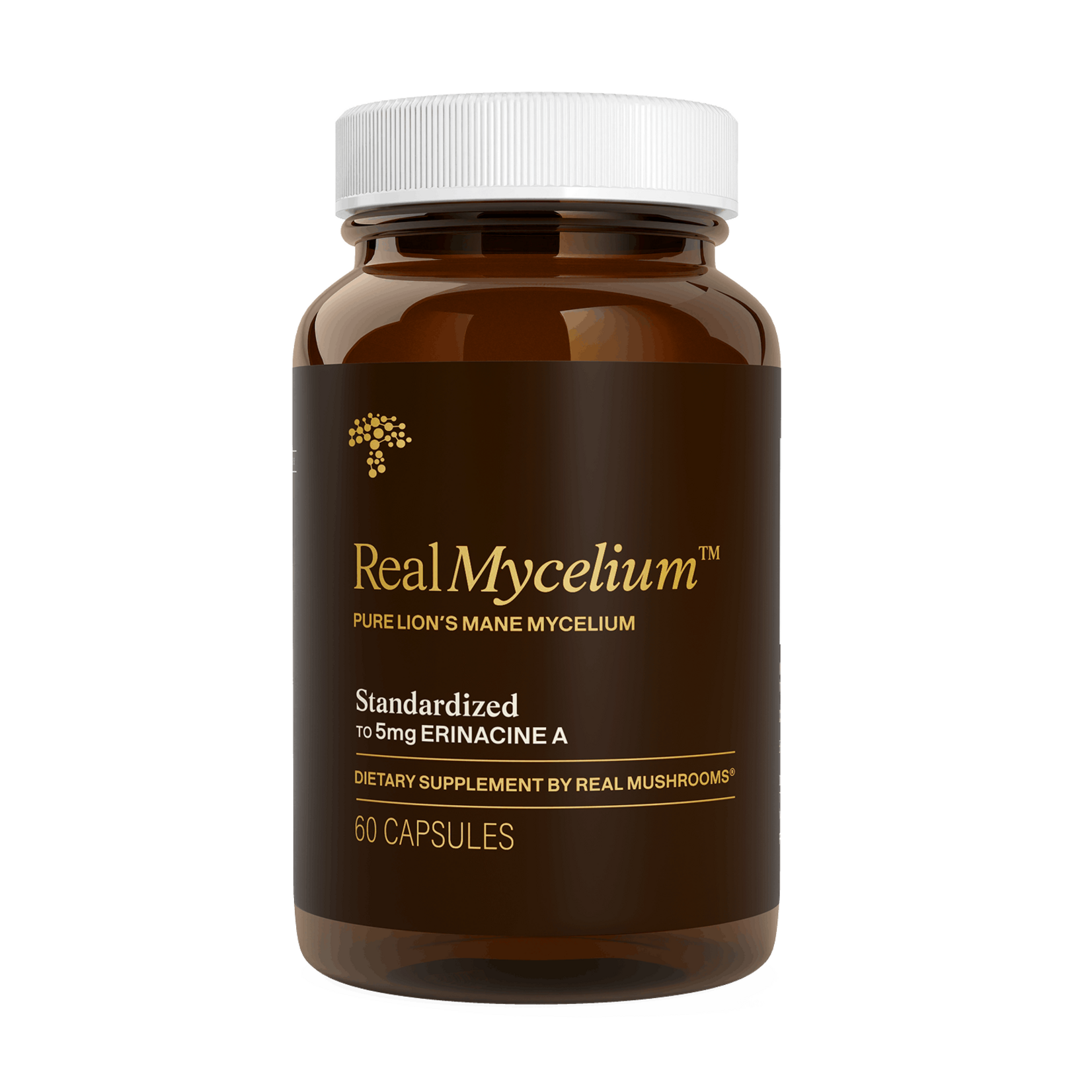 Real Mushrooms Real Mycelium