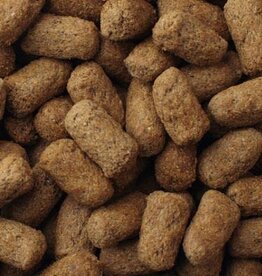 Mazuri MAZURI Tortoise BULK 1 LB bag