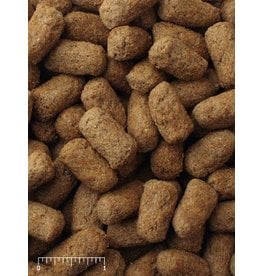 Mazuri MAZURI Tortoise BULK 1 LB bag