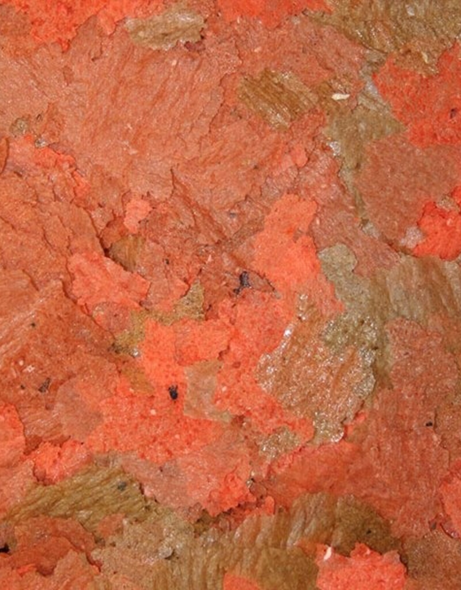 Omega One Food OMEGA ONE Cichlid Flakes