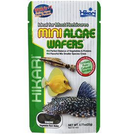 Hikari Sales USA, Inc. HIKARI Tropical Algae Wafers Mini