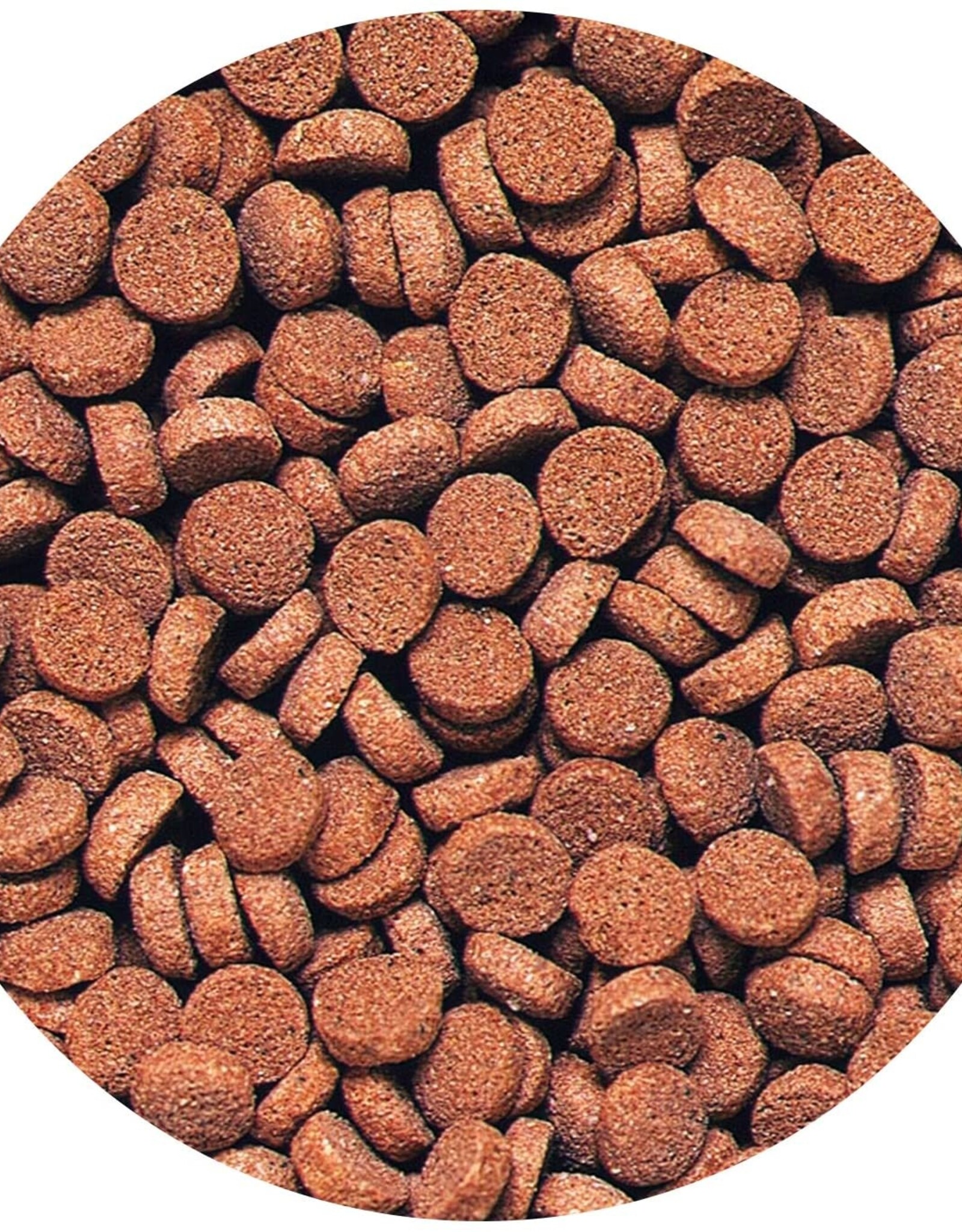 Hikari Sales USA, Inc. HIKARI Tropical Sinking Carnivore Pellet