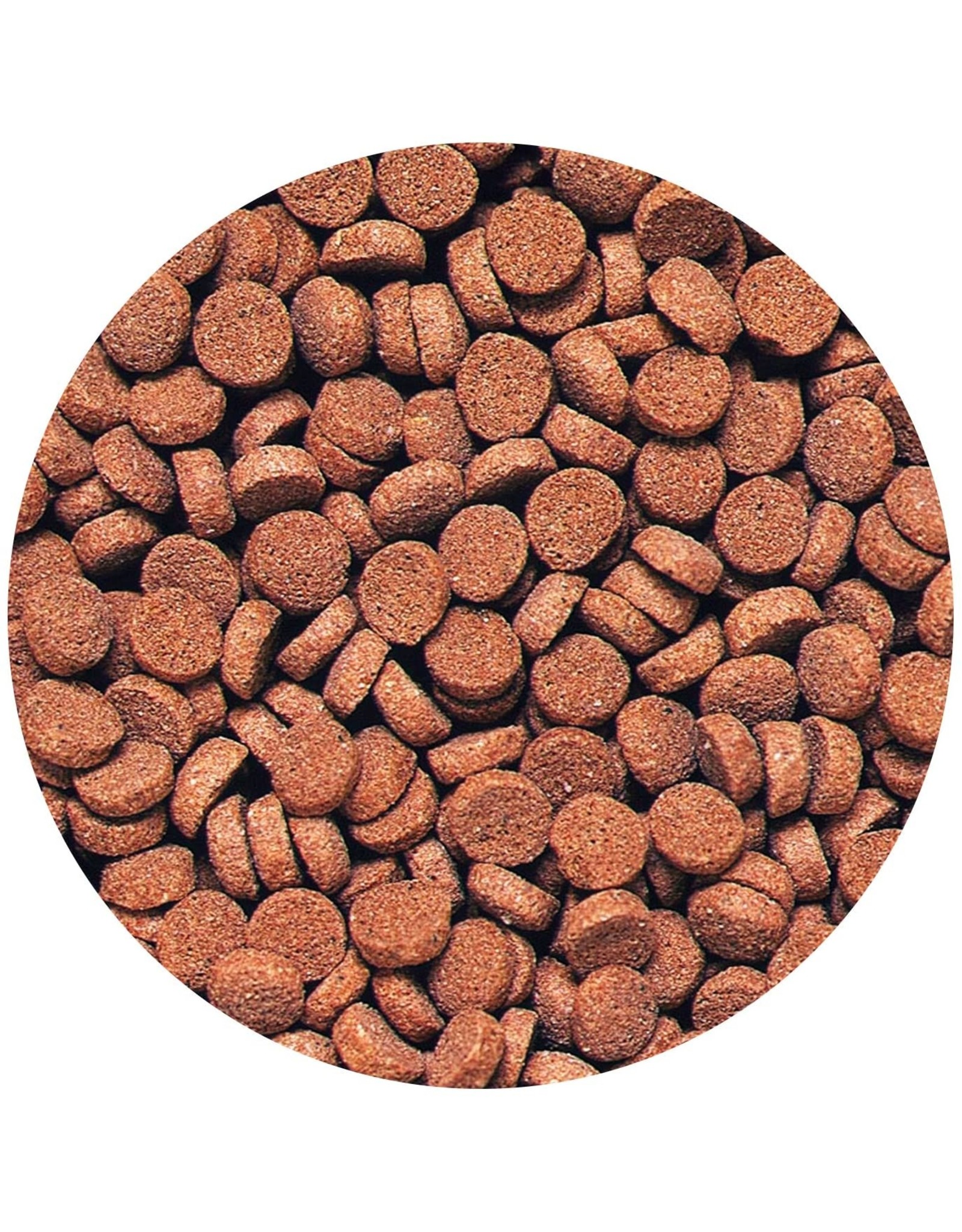 Hikari Sales USA, Inc. HIKARI Tropical Sinking Carnivore Pellet