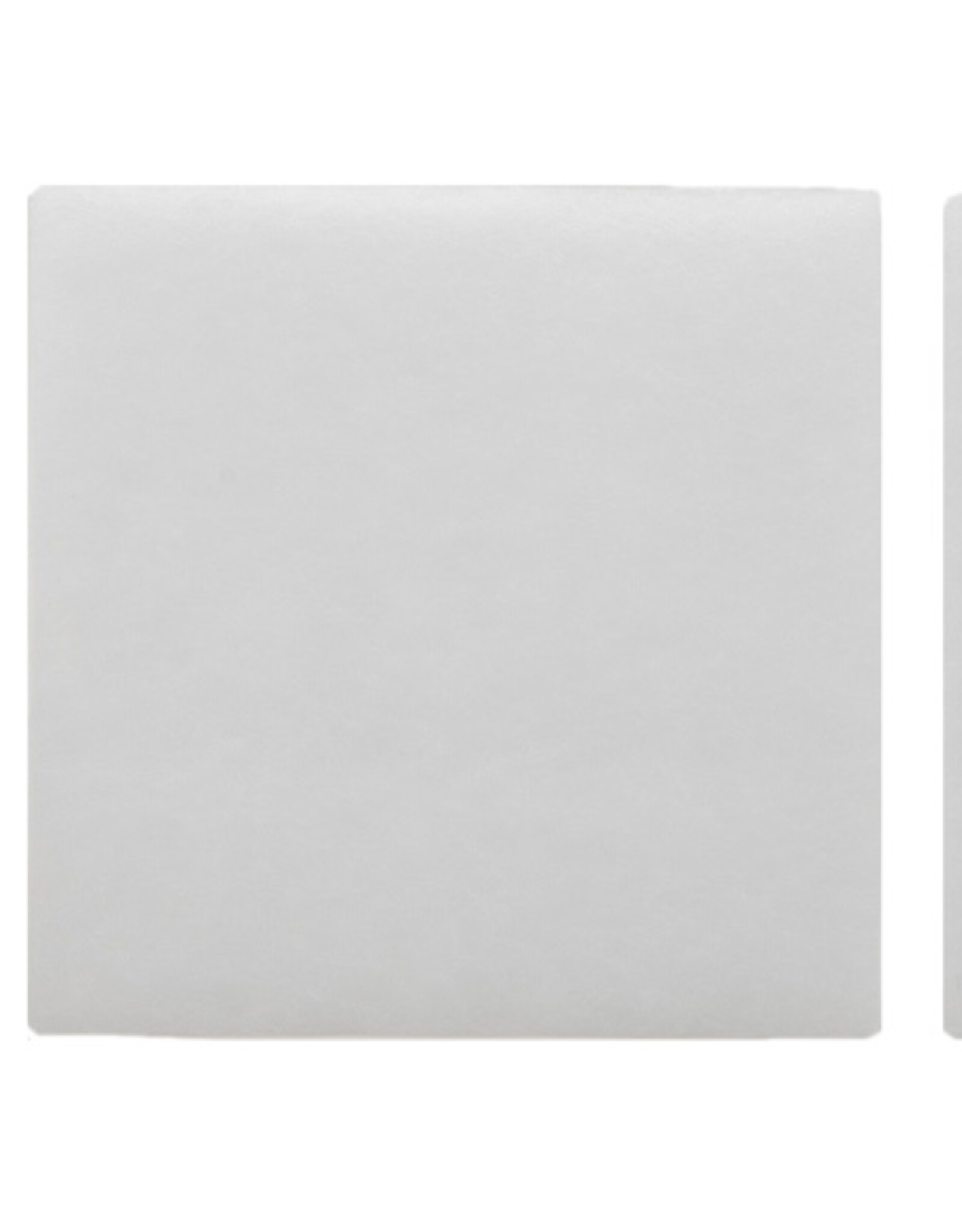 API Products API/RENA Micro Filtration Pads 3 pack