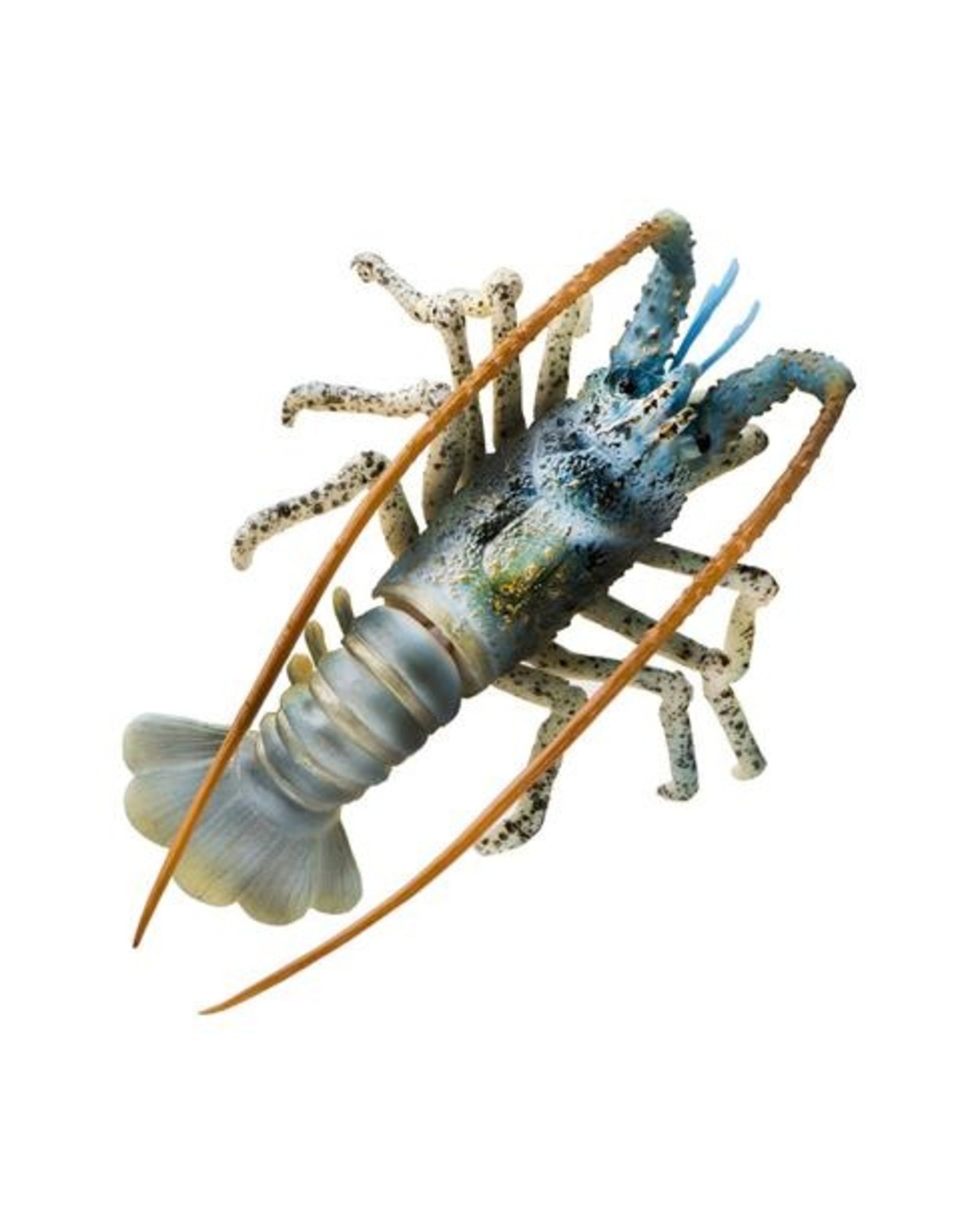 AquaTop AQUATOP Spiny Lobster