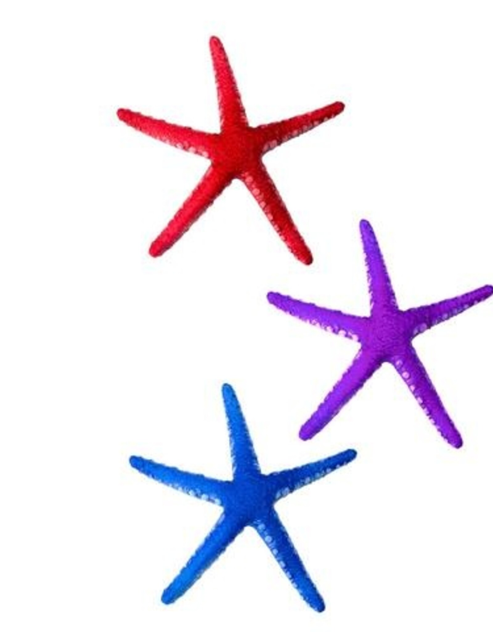 AquaTop AQUATOP Sea Star 3 Pack