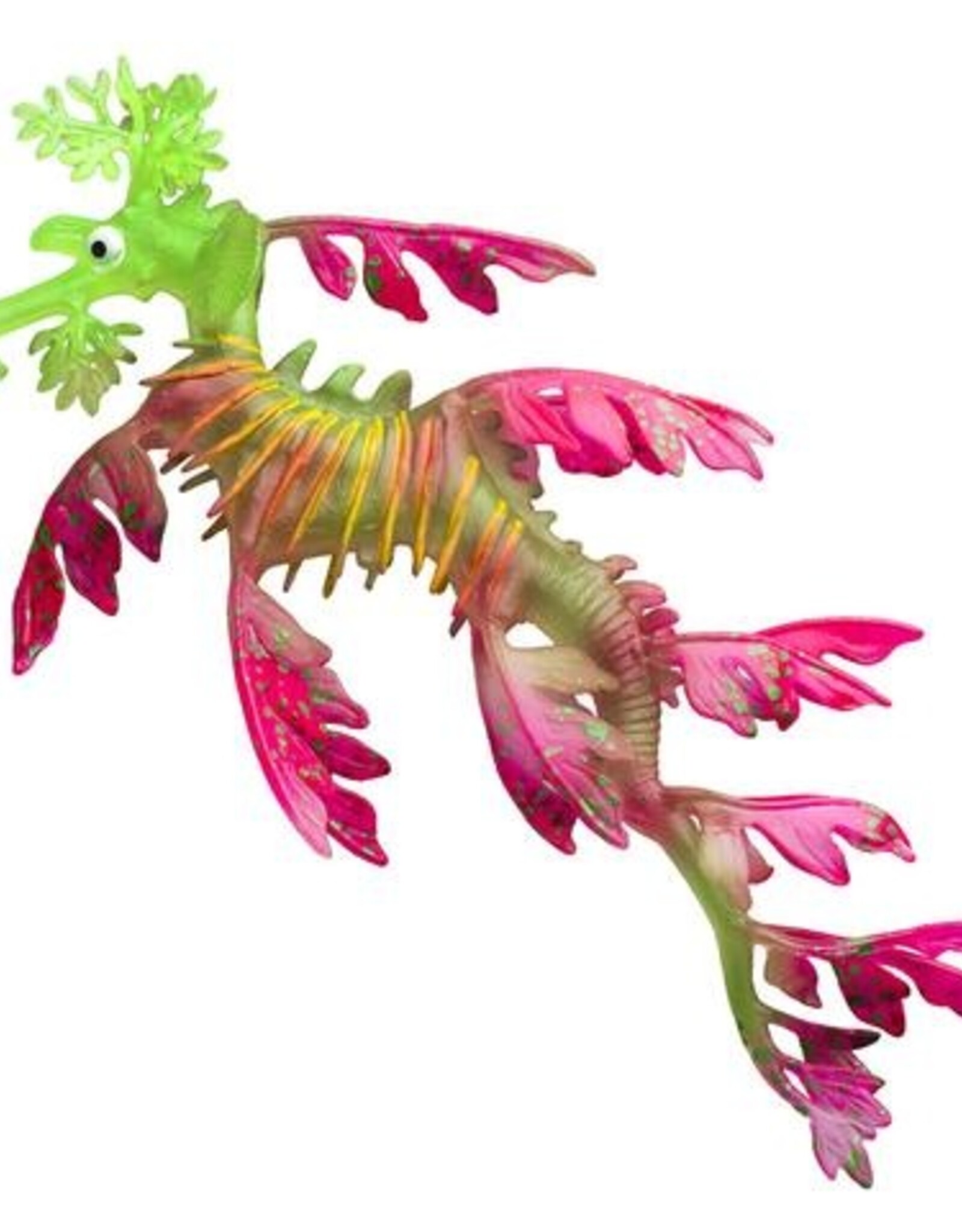 AquaTop AQUATOP Sea Dragon