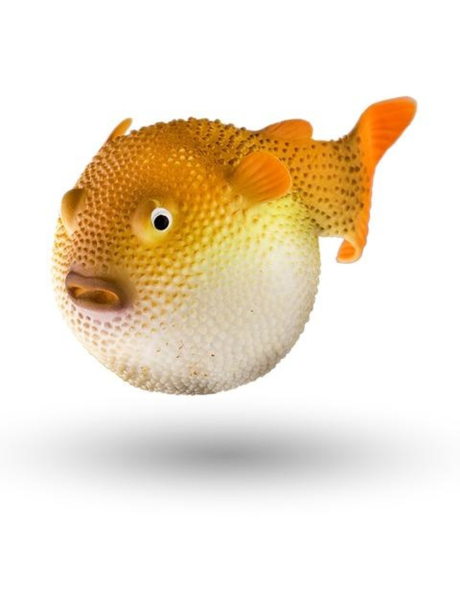 AQUATOP Puffer Fish - Roger's Aquatics & Pet Supplies