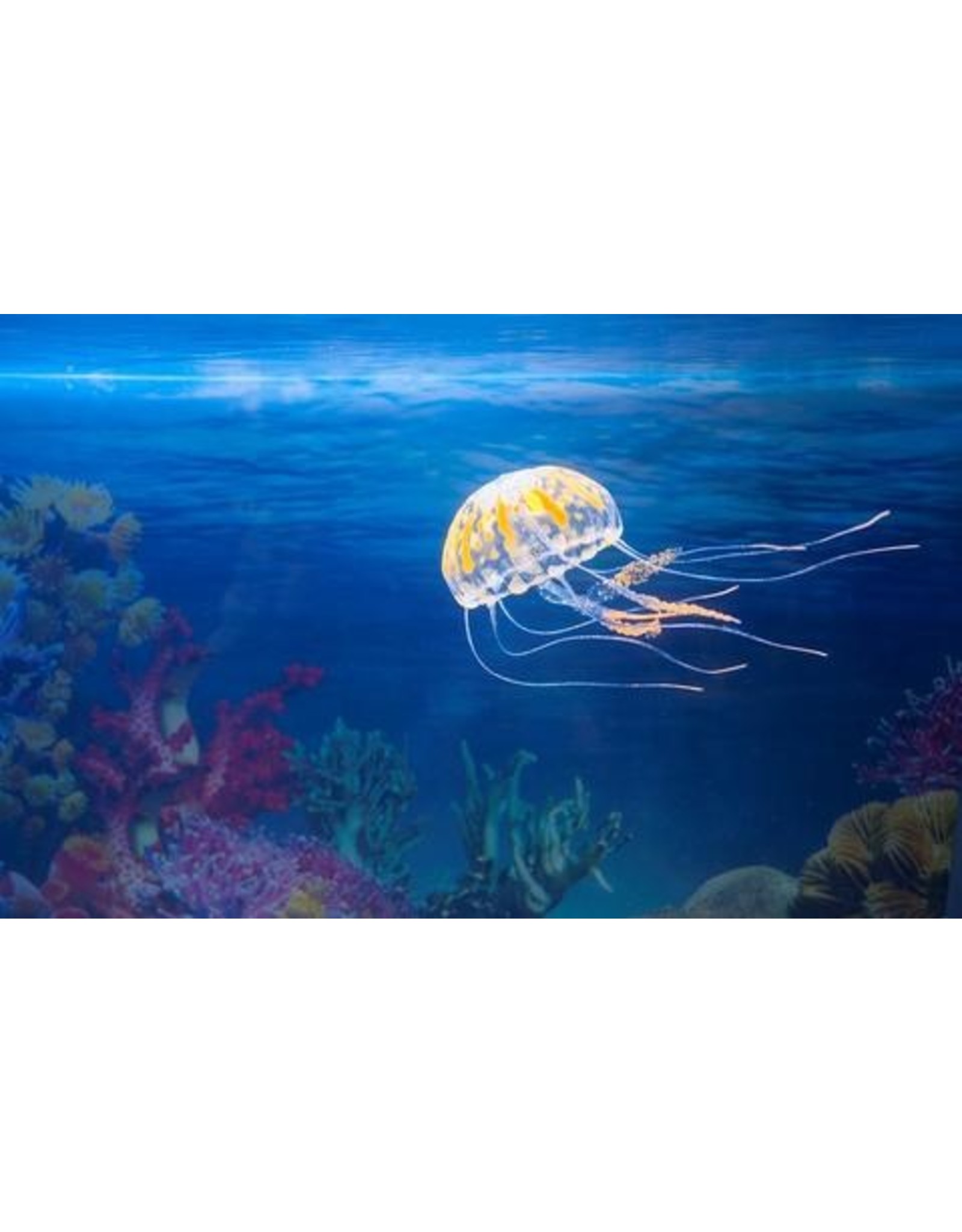 AquaTop AQUATOP Jellyfish Large