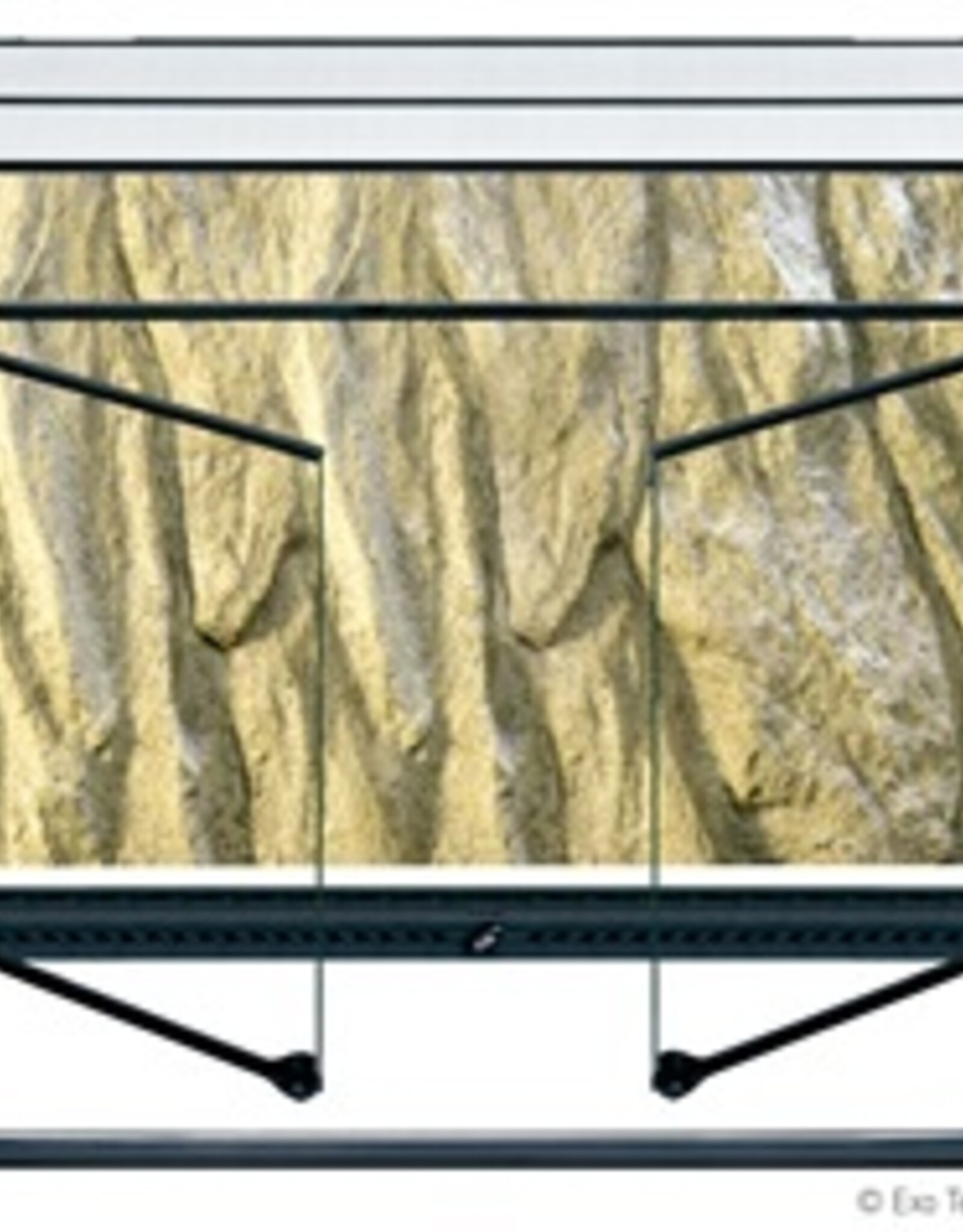 Exo Terra EXO TERRA All Glass Terrarium TALL