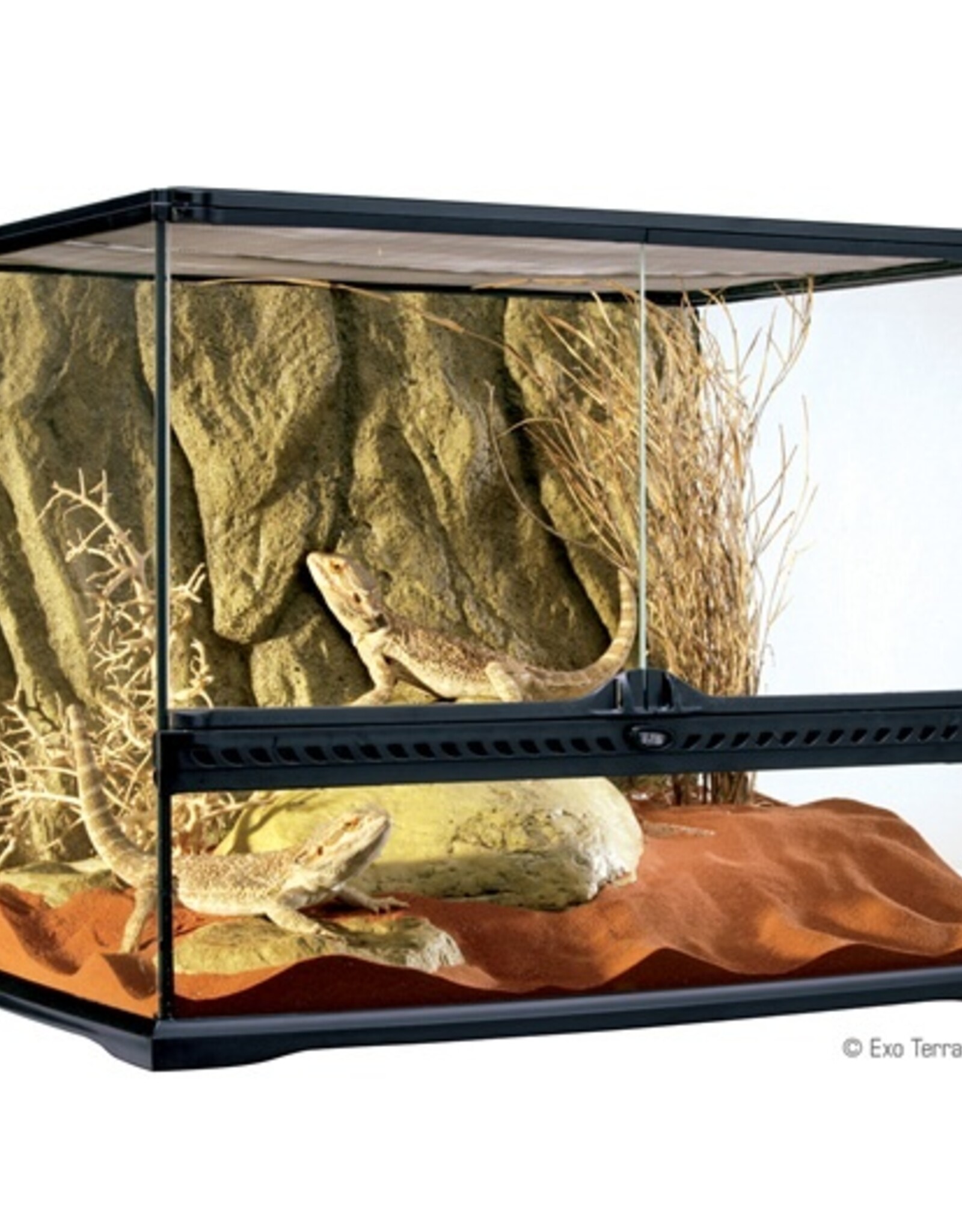 Exo Terra EXO TERRA All Glass Terrarium WIDE