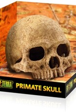 Exo Terra EXO TERRA Terrarium Decor Primate Skull