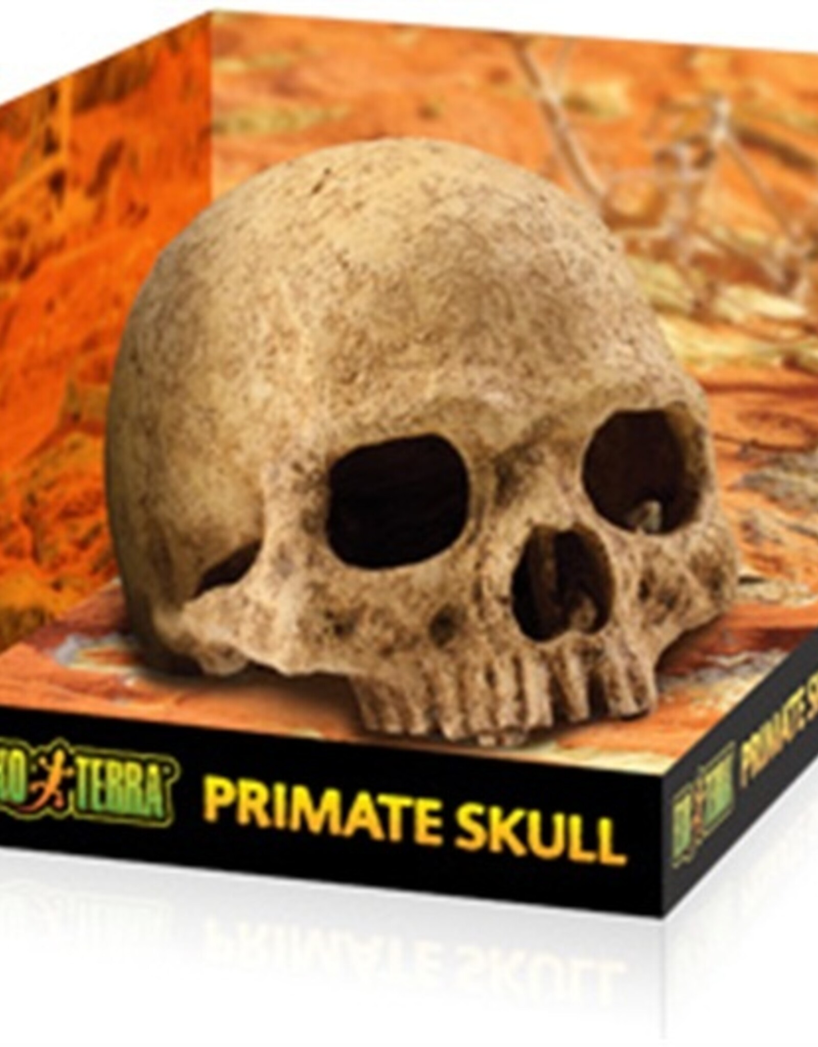 Exo Terra EXO TERRA Terrarium Decor Primate Skull