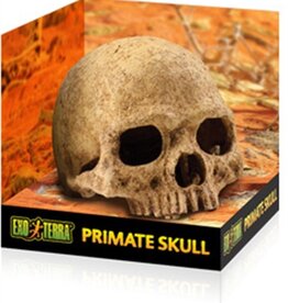 Exo Terra EXO TERRA Terrarium Decor Primate Skull