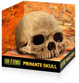 Exo Terra EXO TERRA Terrarium Decor Primate Skull