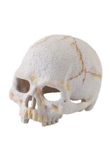 Exo Terra EXO TERRA Terrarium Decor Primate Skull
