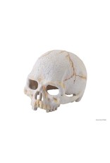 Exo Terra EXO TERRA Terrarium Decor Primate Skull