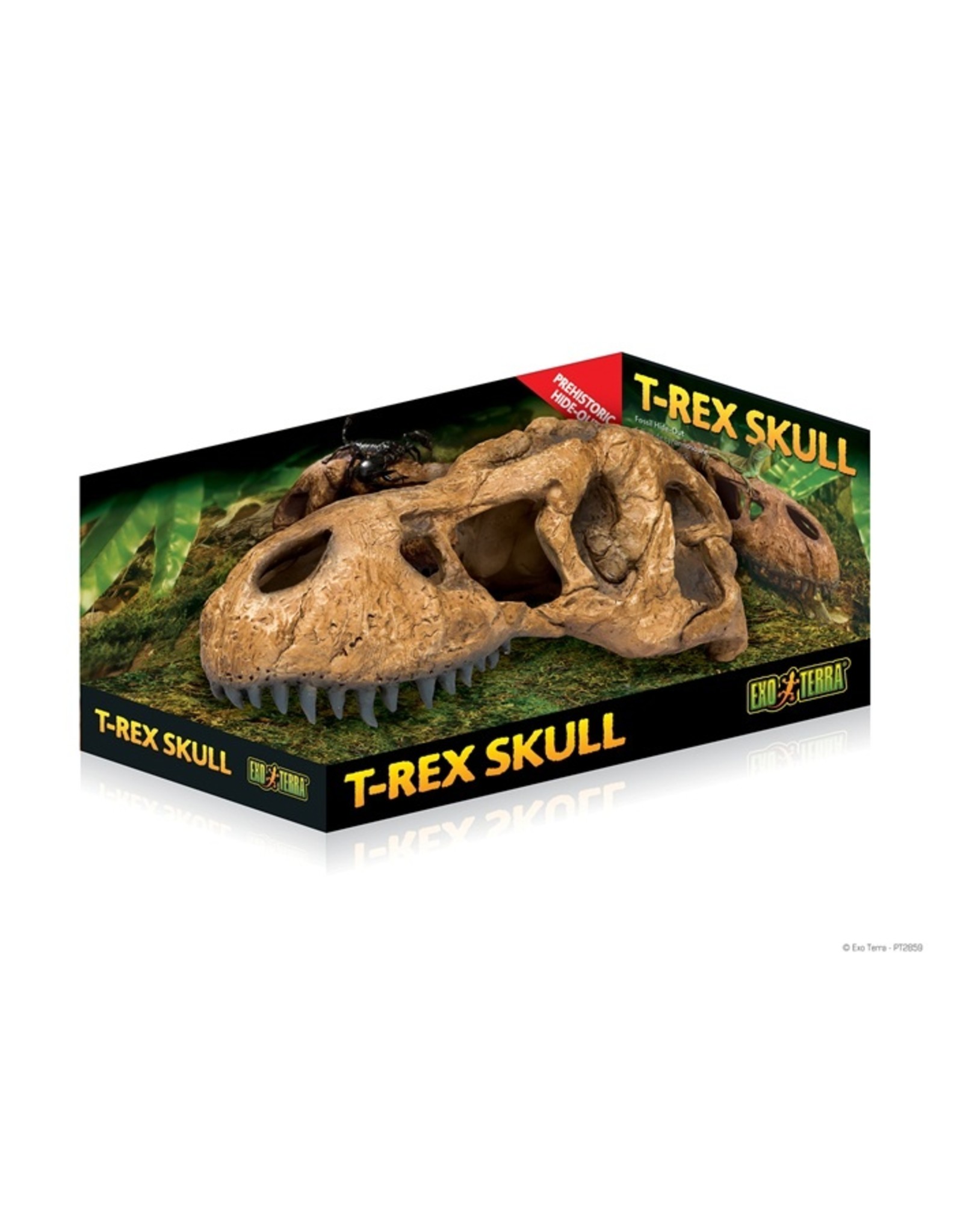 Exo Terra EXO TERRA Terrarium Decor T-Rex Skull Large