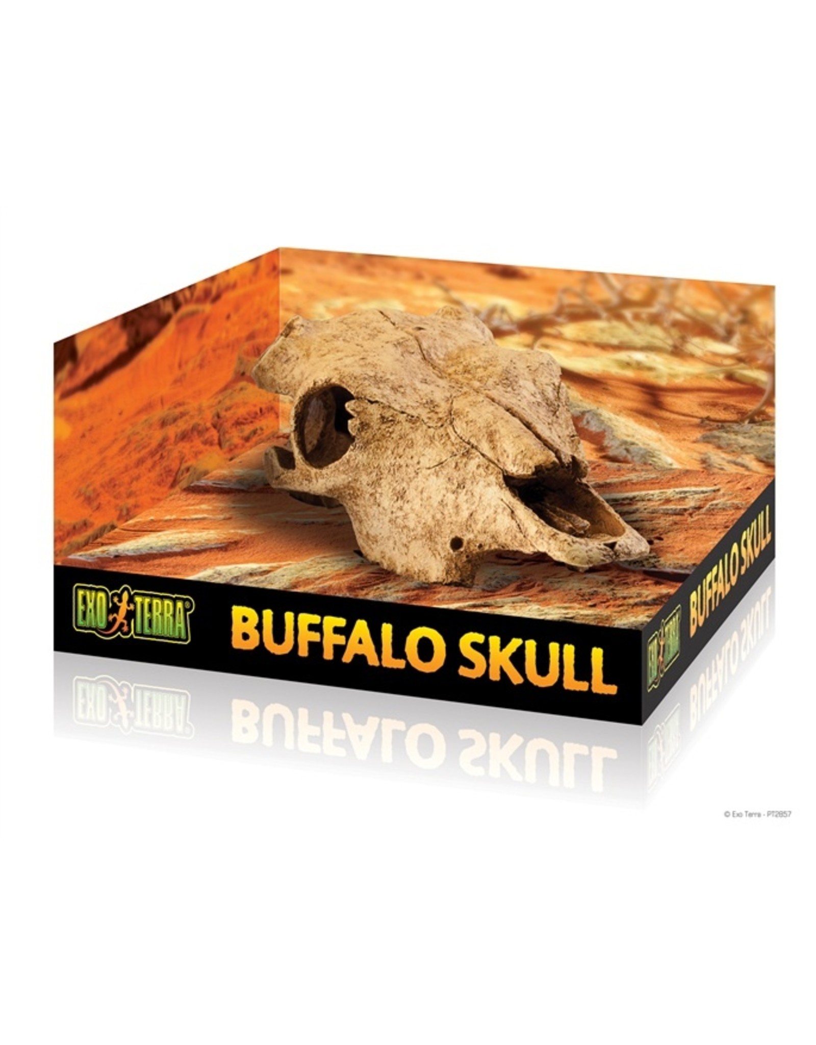 Exo Terra EXO TERRA Terrarium Decor Buffalo Skull