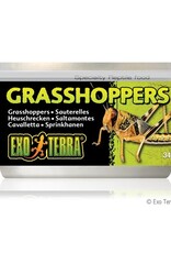 Exo Terra EXO TERRA Canned Specialty Reptile Food 34g