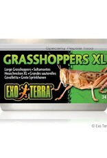 Exo Terra EXO TERRA Canned Specialty Reptile Food 34g